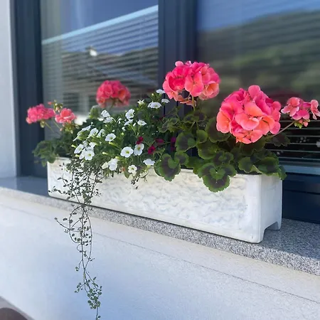 Rauch - Zillertal * Ramsau im Zillertal