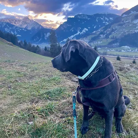 Rauch - Zillertal Lägenhet *