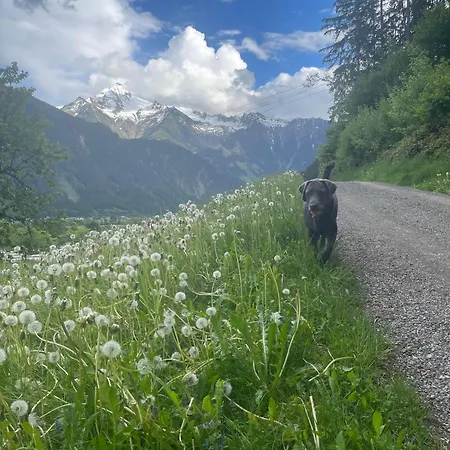 Rauch - Zillertal Apartmán Ramsau im Zillertal