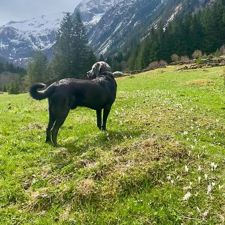 Apartmán Rauch - Zillertal
