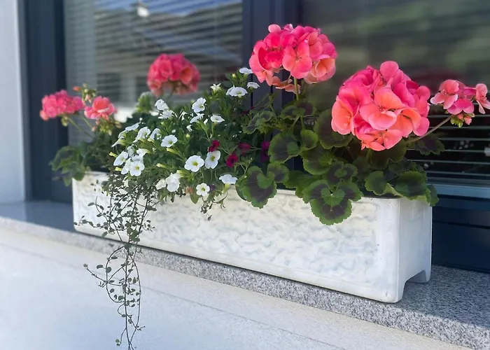 Rauch - Zillertal * 齐勒河谷的拉姆绍