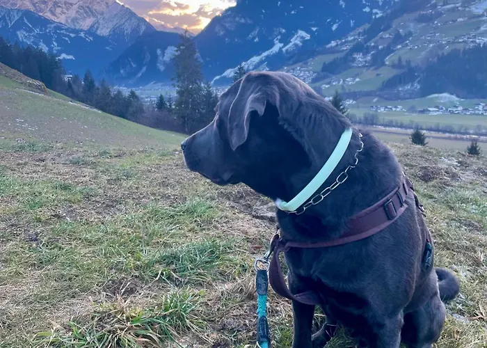 Rauch - Zillertal 公寓 *