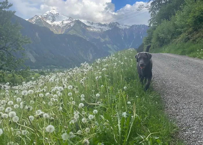 Rauch - Zillertal 公寓 齐勒河谷的拉姆绍