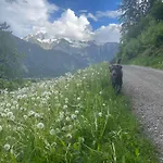 Rauch - Zillertal דירה רמסאו אים זילרטל