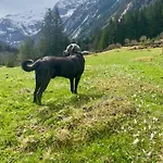 דירה Rauch - Zillertal