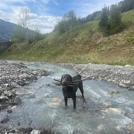 Rauch - Zillertal