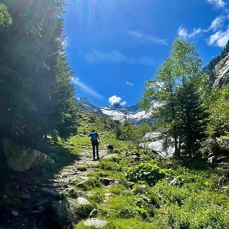 Rauch - Zillertal Lejlighed Ramsau im Zillertal